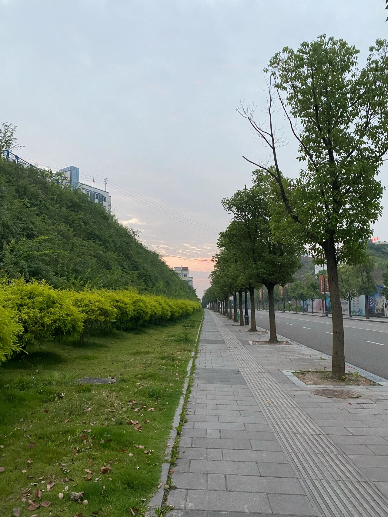 晨跑运动锻炼风景运动手表(今年的第九十七次奔跑)-喵神素材库
