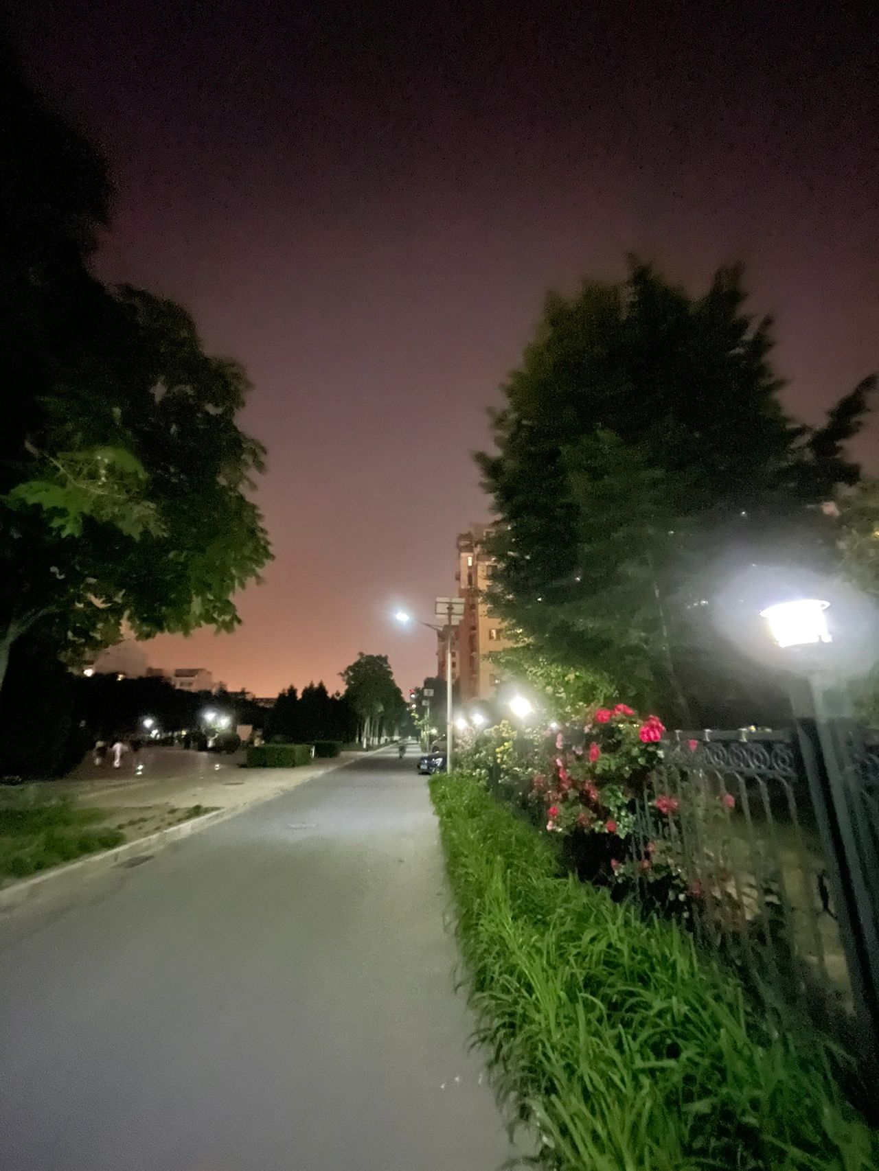 晚上灯光夜景夜跑健身运动(整个夜晚都是我的 )-喵神素材库