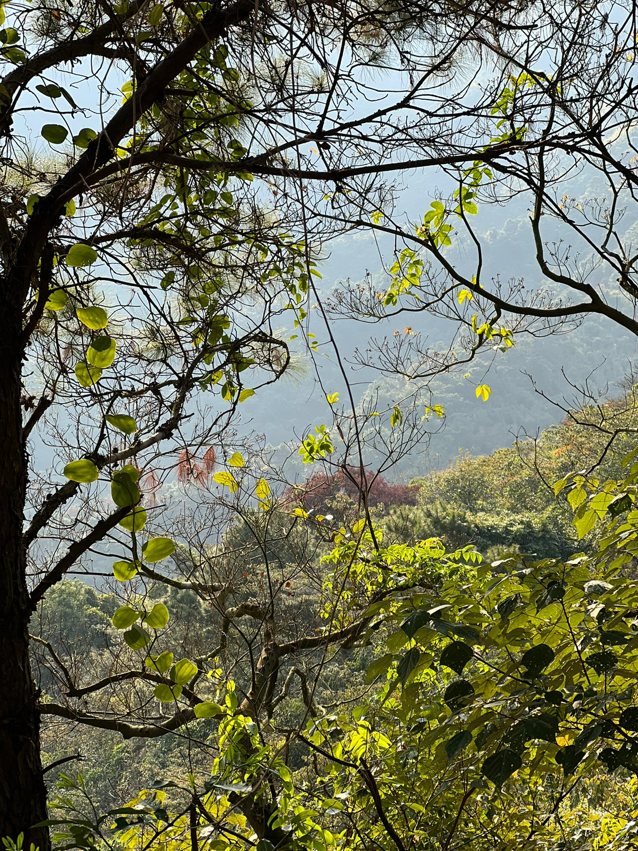 爬山风景日出摄影拍照(不要浪费好天气 )-喵神素材库