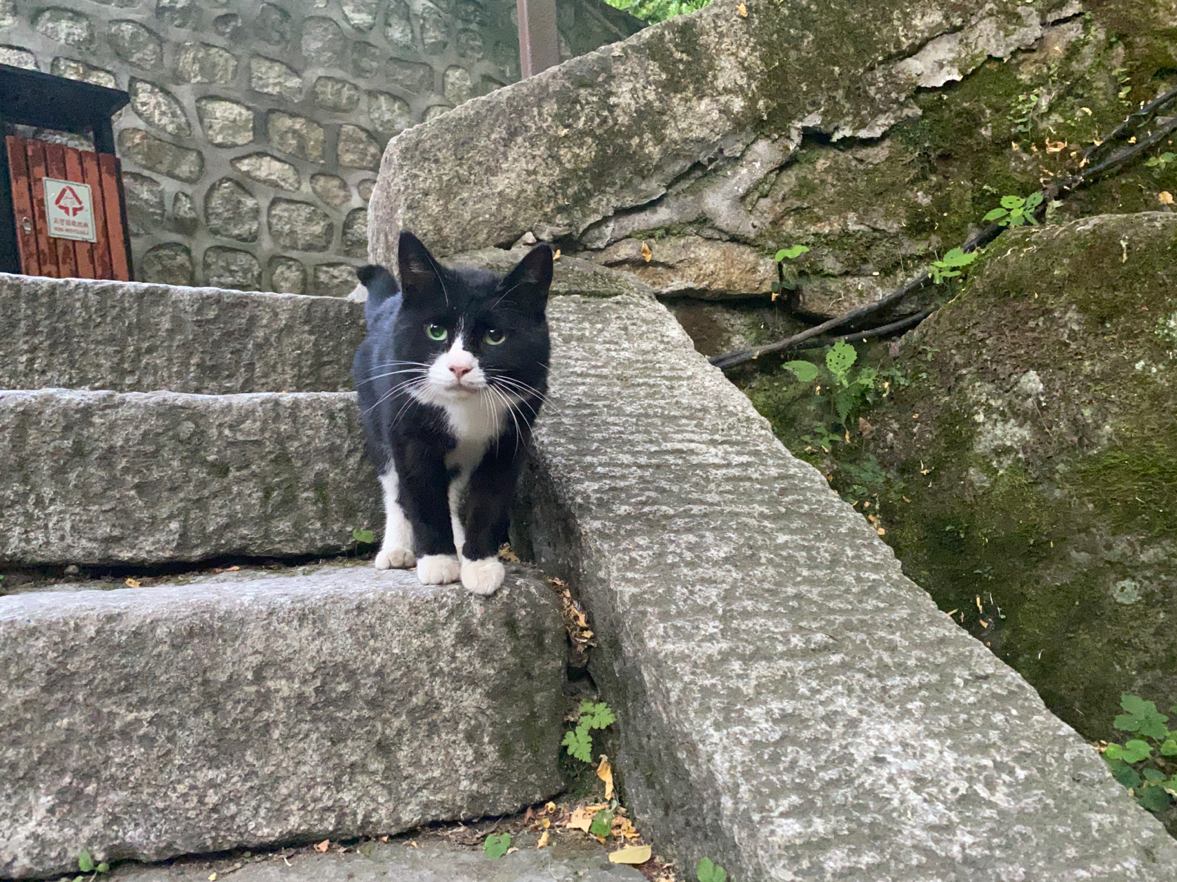 3爬山徒步旅游摄影拍照风景日出华山(真的无敌累！！！)-喵神素材库