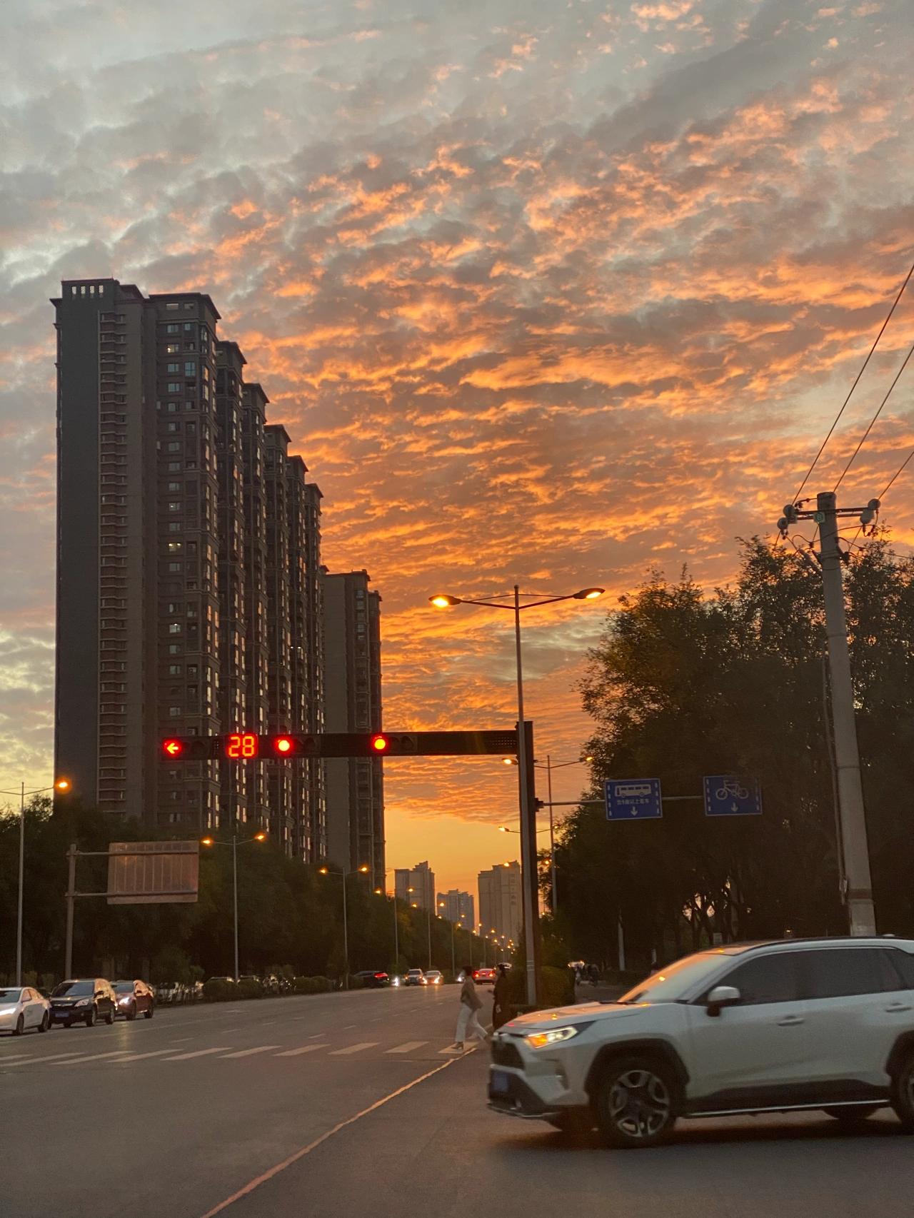 傍晚日落晚霞车街拍( 我们一辈子就是在不断的遇见和错过，可是总是有一些等待不能太漫长，因为还没有实现就已经枯萎在心底。孤单太久的人，是不习惯爱和被爱的。)-喵神素材库
