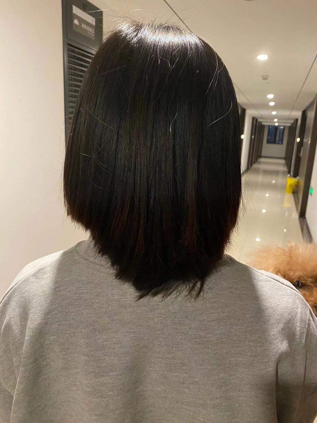 剪发理发发型( 换个发型)-喵神素材库