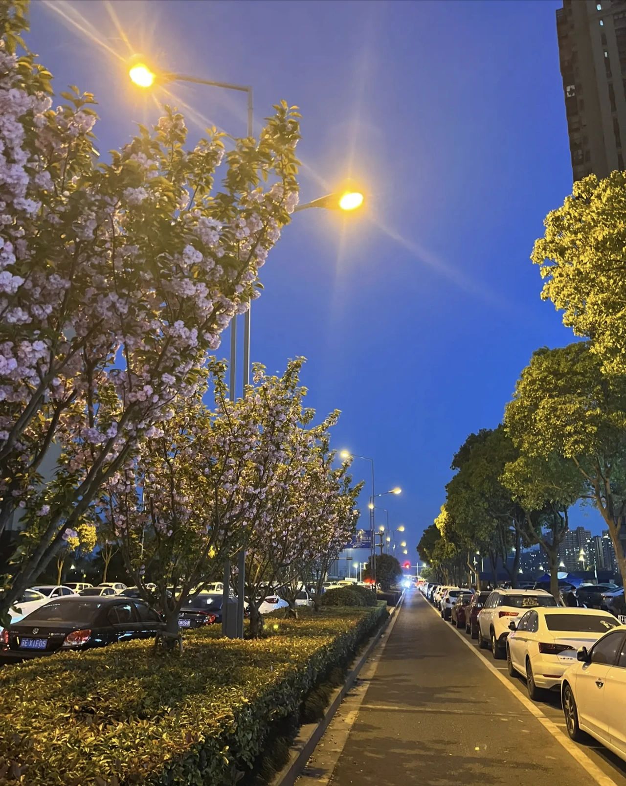 晚上灯光夜景散步(晚风心里吹 )-喵神素材库
