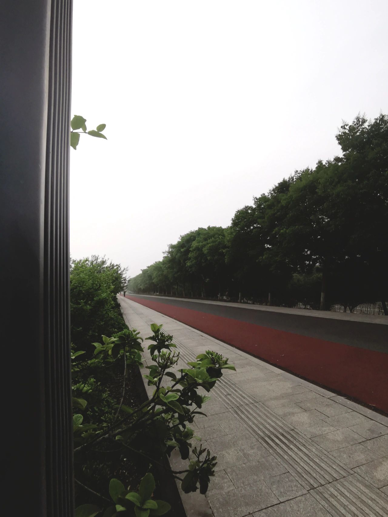 晨跑健身锻炼散步风景(可以一边欣赏沿途风景一边放空自己，排毒养颜的同时，开启元气满满的一天)-喵神素材库