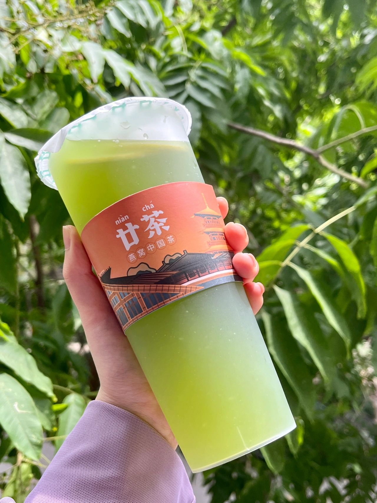 薯片零食甘茶购物风景散步(我的美食日记)-喵神素材库