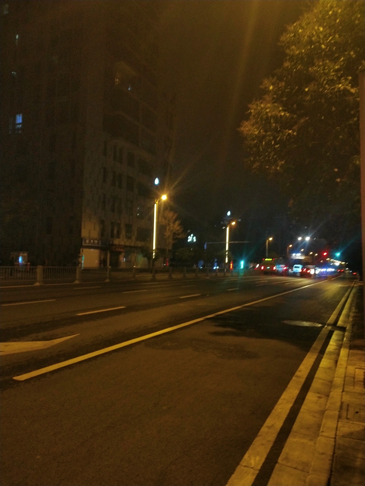 风景晨跑跑步运动健身(正值青春年华的你，努力向前吧，别辜负这稍纵即逝的美好年华。能够成为自己所期望的样子，这本就是一种幸福。 )-喵神素材库