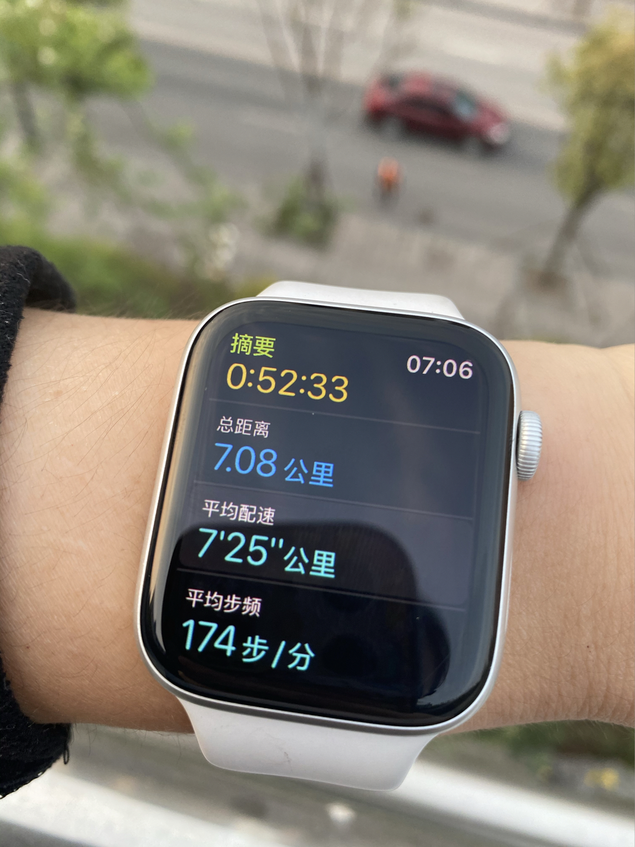 晨跑跑步运动健身打卡绿植多肉(Day47晨跑打卡)-喵神素材库