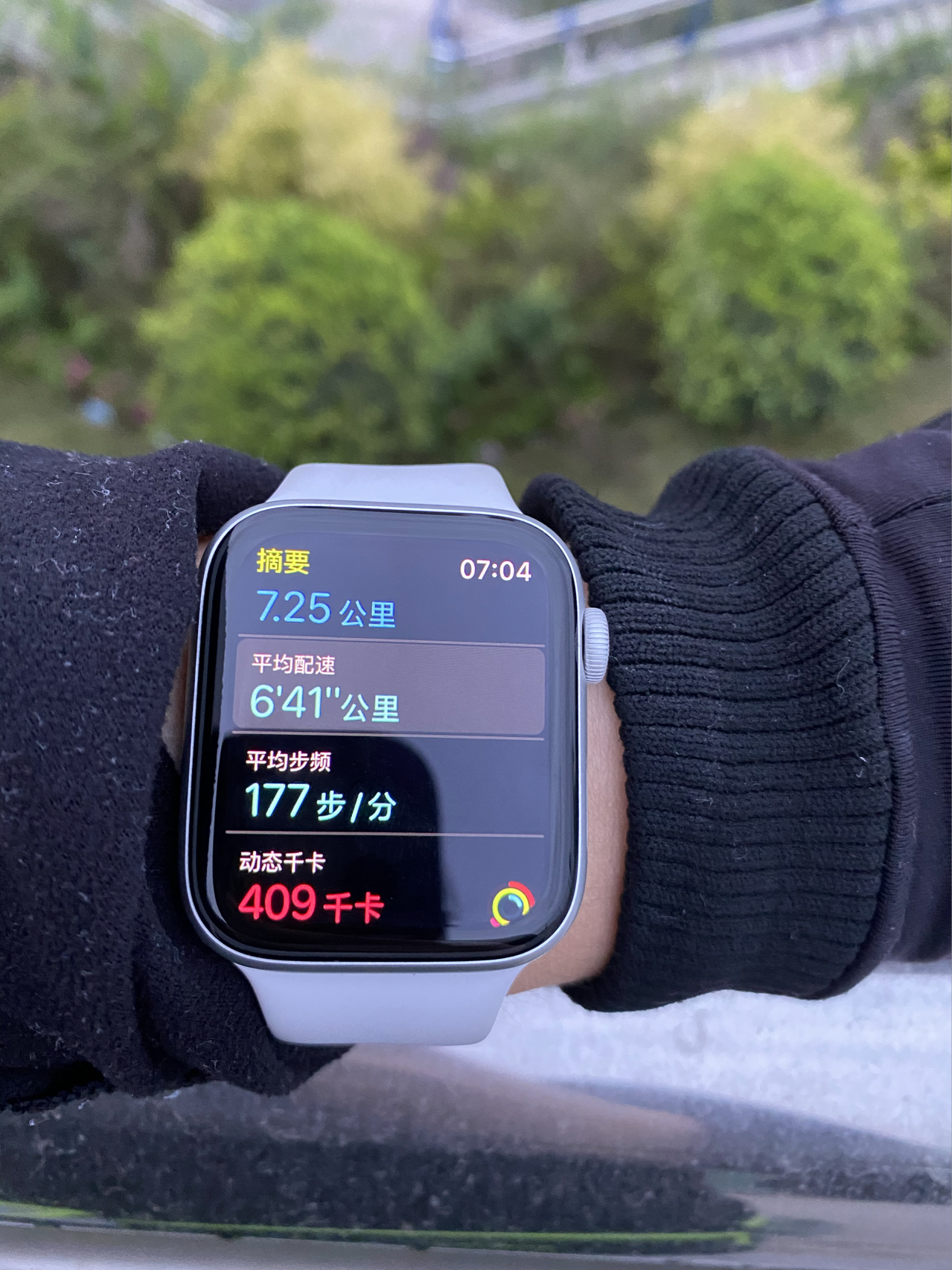 晨跑跑步运动健身打卡绿植多肉(早上起床，拥抱太阳，让身体充满灿烂的阳光。新的一周，继续加油。 )-喵神素材库