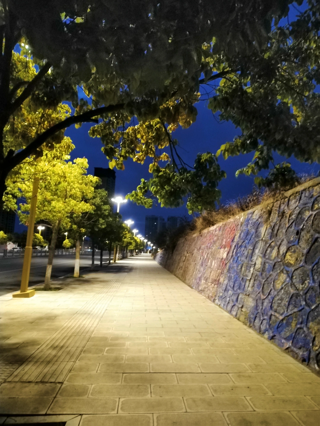 风景晨跑跑步运动健身(人生没有白走的路，也没有白吃的苦。当下跨出去的每一步，都是未来的基石与铺垫，早安！ )-喵神素材库