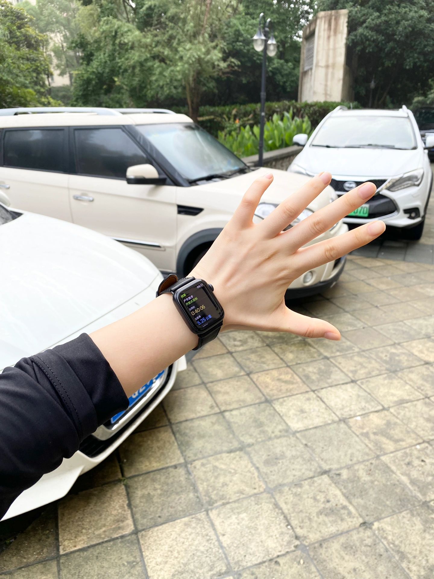 晨跑健身锻炼手表体能训练(今天晨跑五公里美好的一天开始喽)-喵神素材库