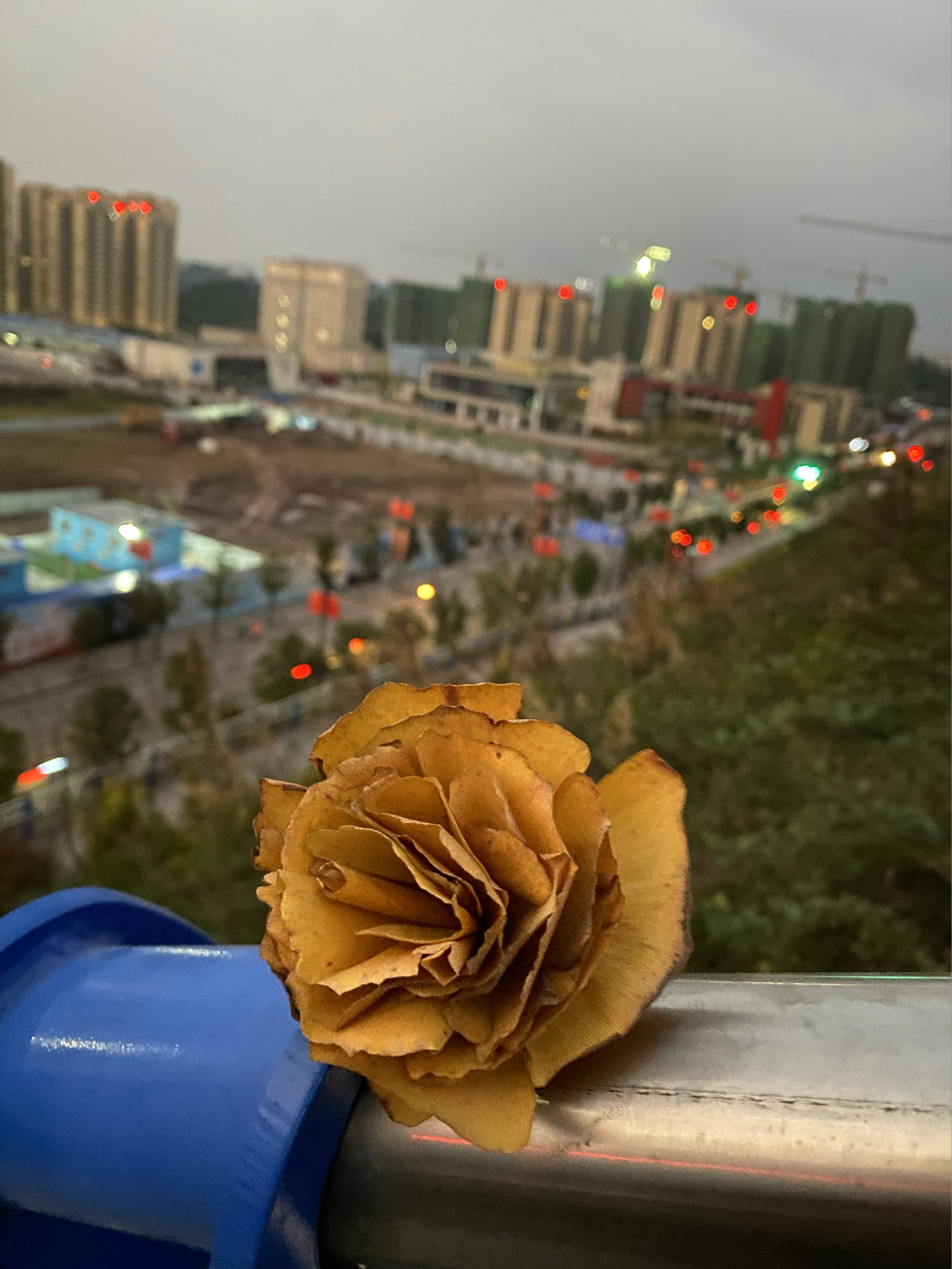 晨跑跑步运动健身打卡(Day晨跑6公里打卡)-喵神素材库