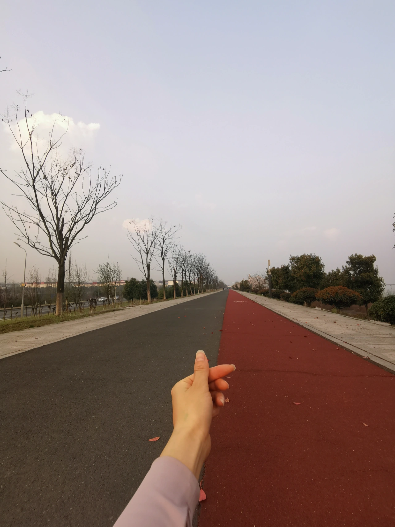 早上晨跑风景拍照(晨跑跑步)-喵神素材库