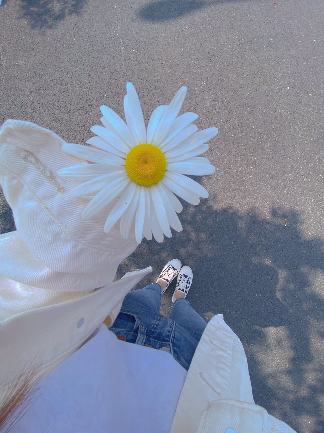 鲜花美女穿搭散步(日常穿搭)-喵神素材库