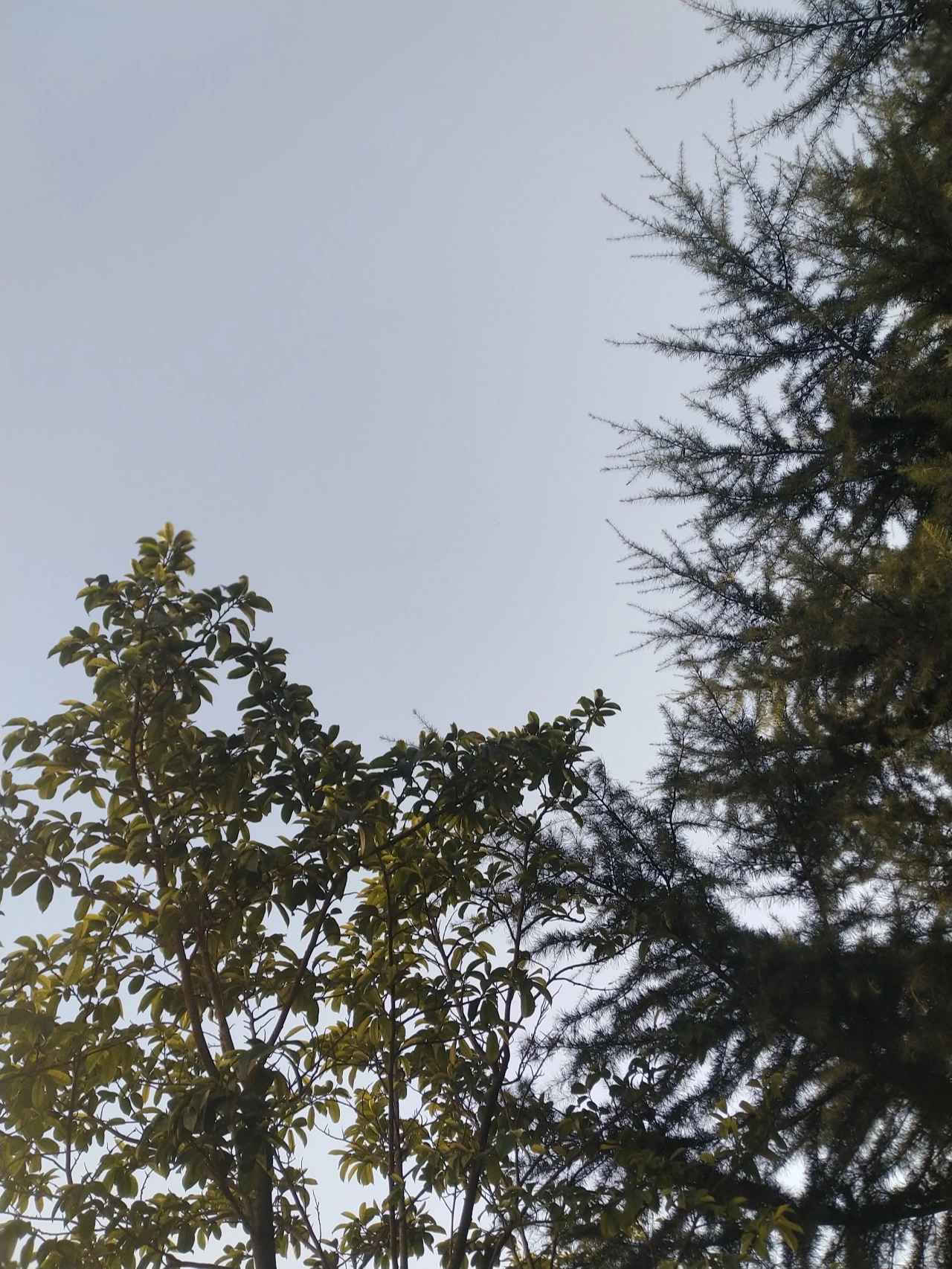 风景晨跑跑步运动健身(真正在努力的，日子是不会舒服的。把自己变优秀，其他的事情自然就会跟着好起来，会讲究，能将就，能享受最好的，也能承受最坏的。 )-喵神素材库