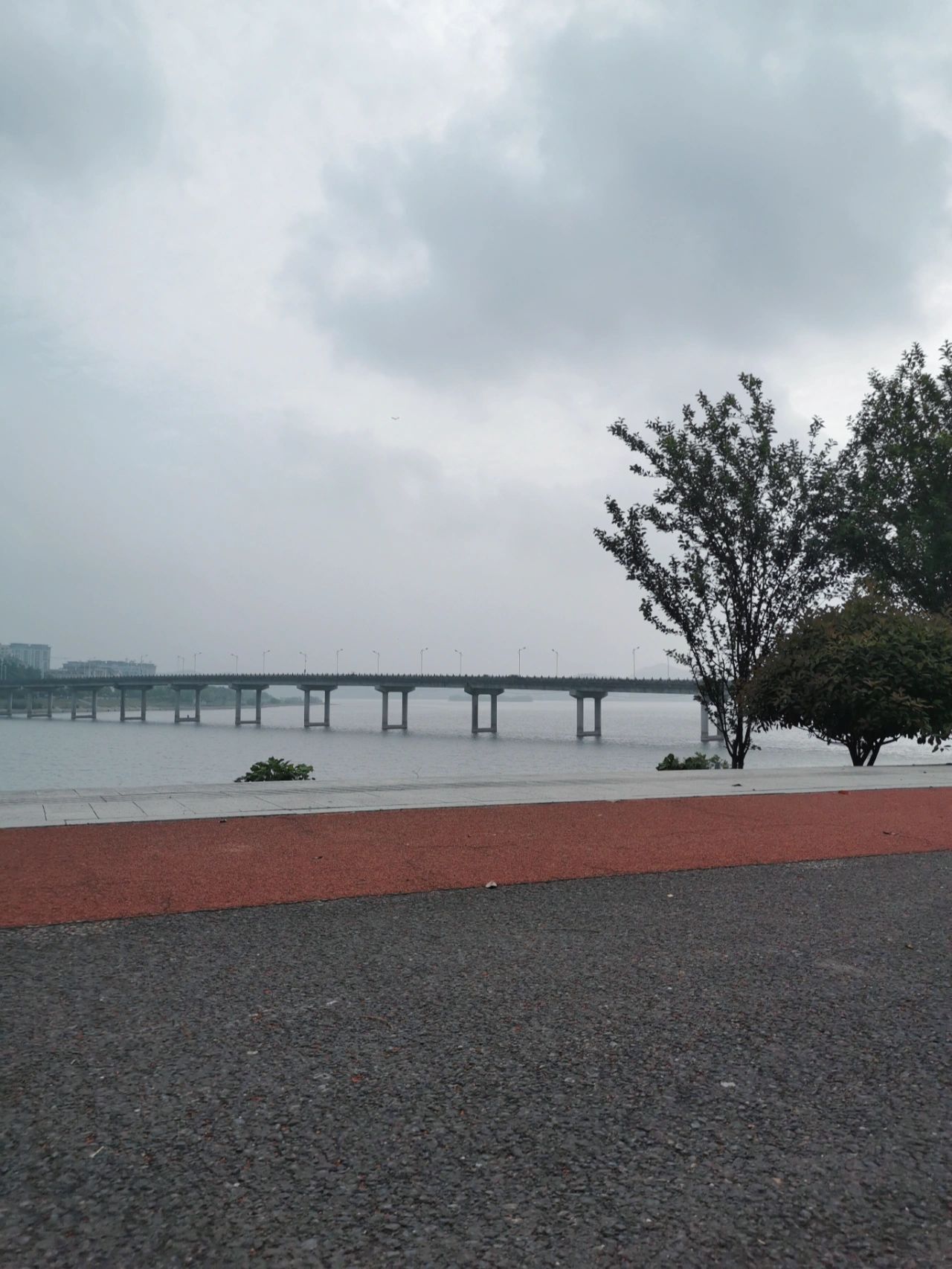 晨跑运动锻炼风景(起初我跑步并不是为了减肥，后来瘦了10斤)-喵神素材库