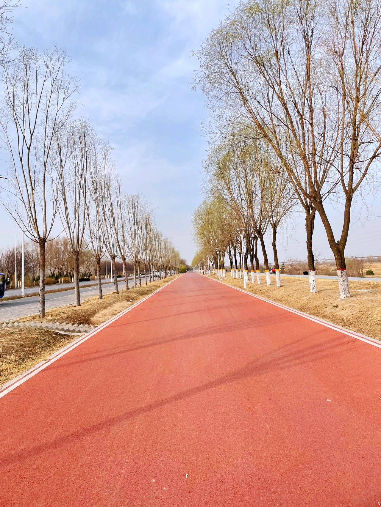 晨跑运动锻炼风景(周末户外探索未知的世界  听书修心感受城市文化捕捉当地的春天气息)-喵神素材库