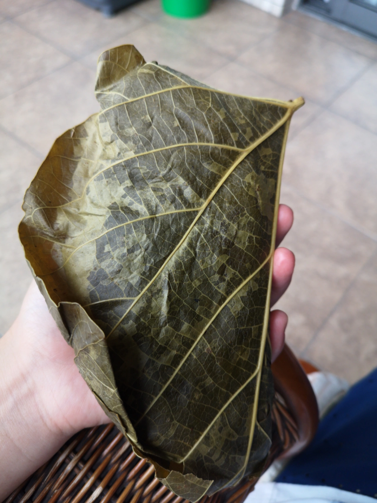 美食特色小吃(麦子的香味，超好吃的粑粑～ )-喵神素材库
