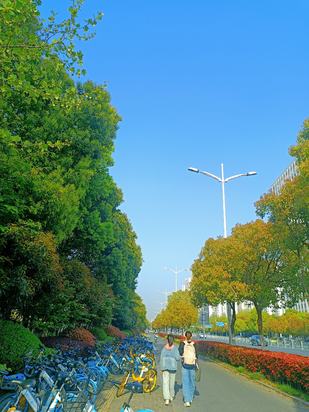 晨跑跑步运动健身打卡(晨跑 打卡)-喵神素材库
