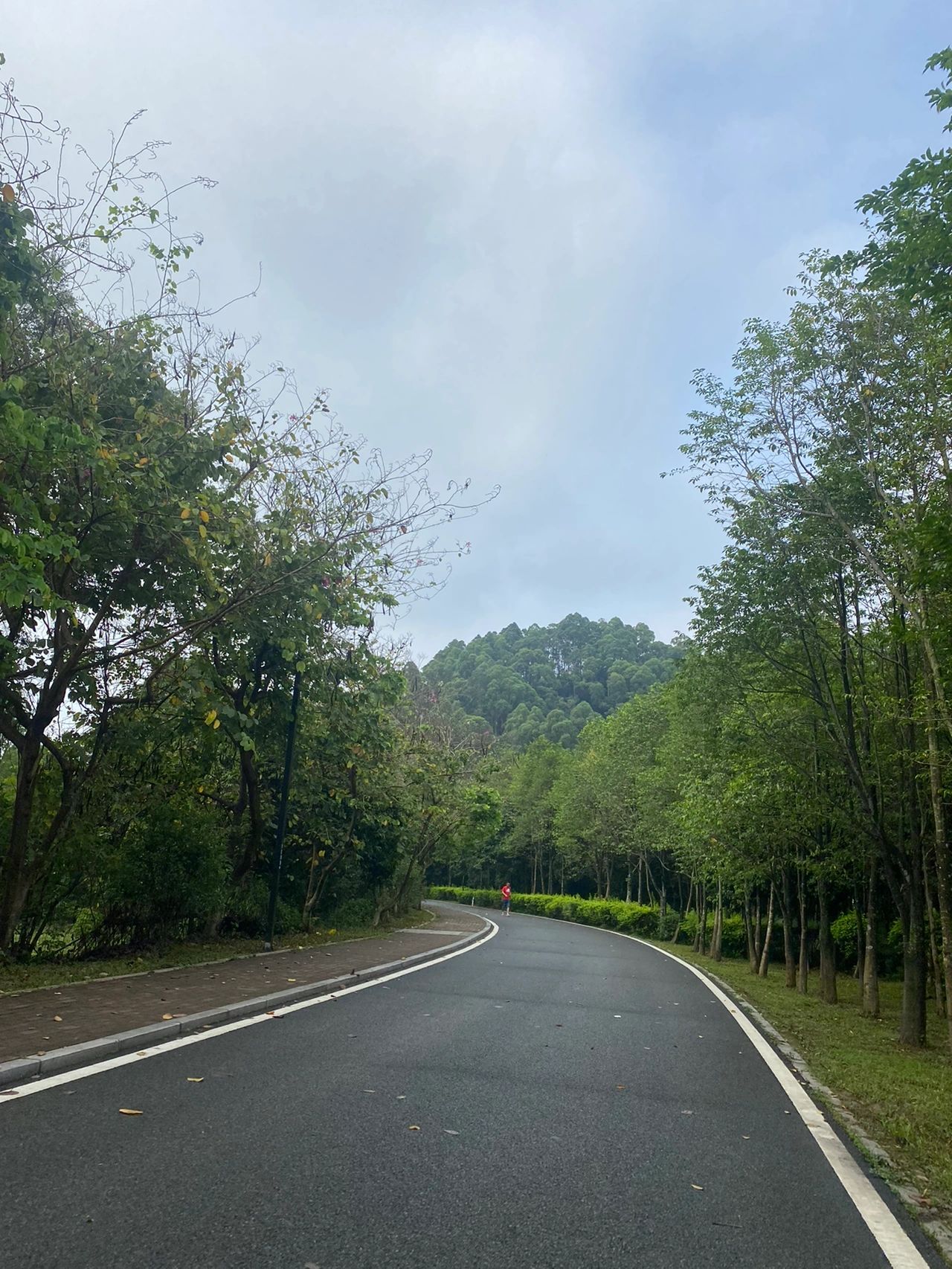 晨跑健身锻炼运动手表(跑步日常)-喵神素材库
