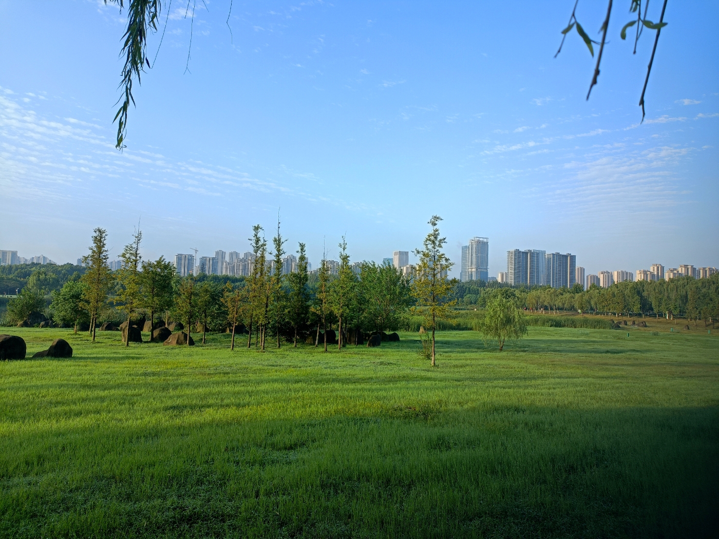 运动晨跑公园拍照( 环境不错)-喵神素材库
