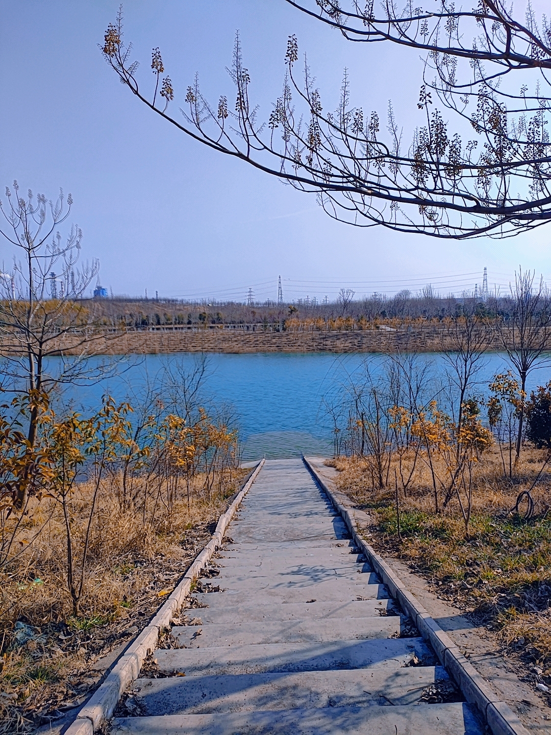 2河边树阳光手日出早晨(“人间的面，吃一碗，少一碗，人生的面，见一面，少一面，人生本就是一场减法，所以来日并不方长” )-喵神素材库