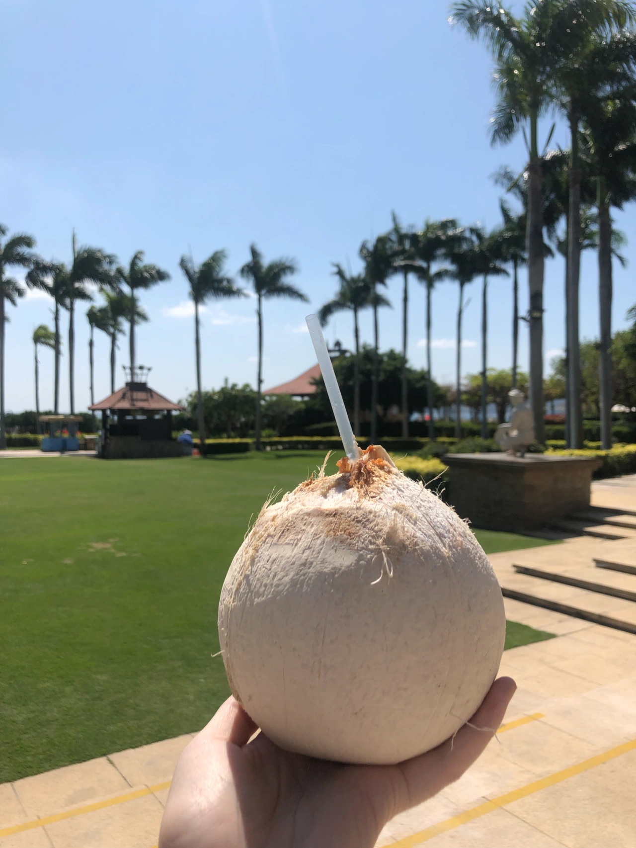 3椰子水果旅游旅行夏天风景(uus！来海南的话不要买青色的椰子或者金色的，可以尝尝这个小白色的！入口一股奶香味的！\\t)-喵神素材库