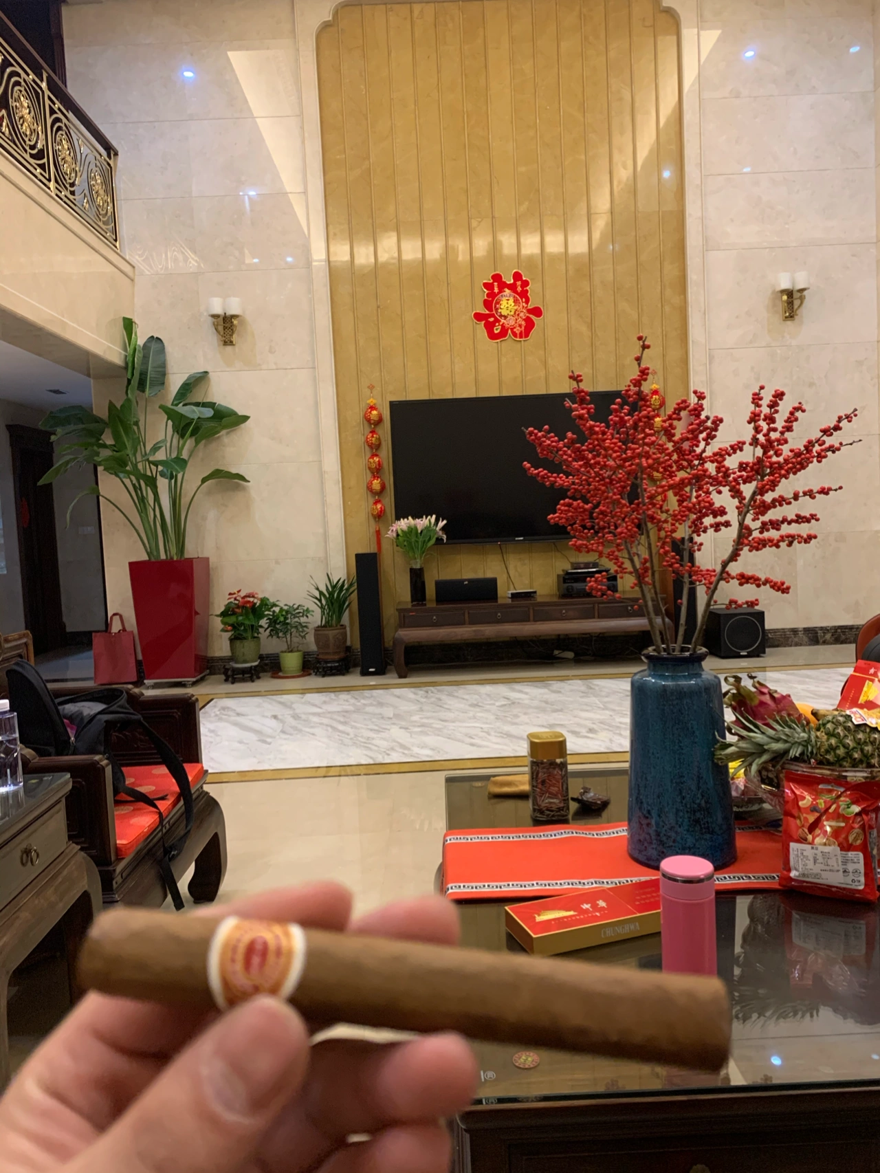 雪茄客厅水果绿植盆栽(新年快乐，开启新风，舒舒服服 )-喵神素材库
