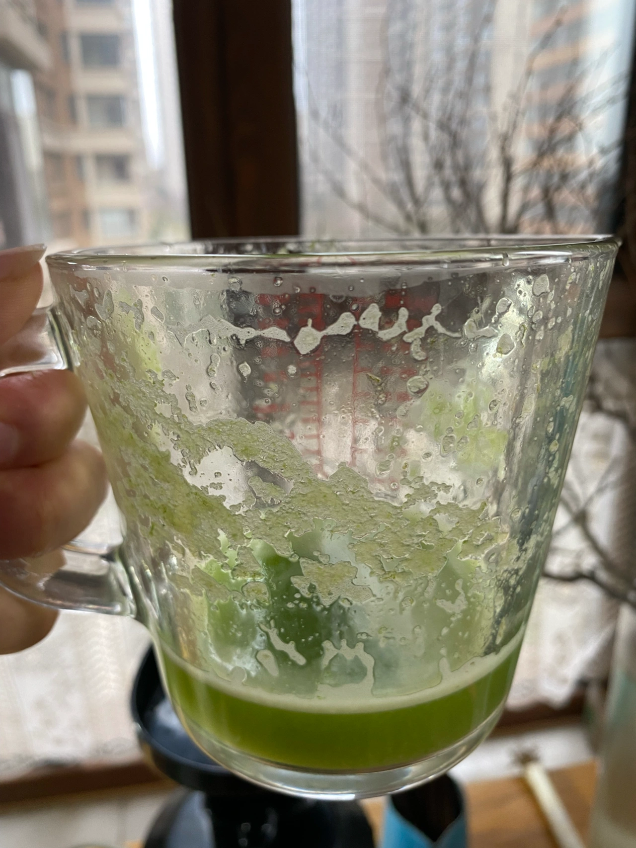 杯子水果汁拍照分享( 不错呢)-喵神素材库