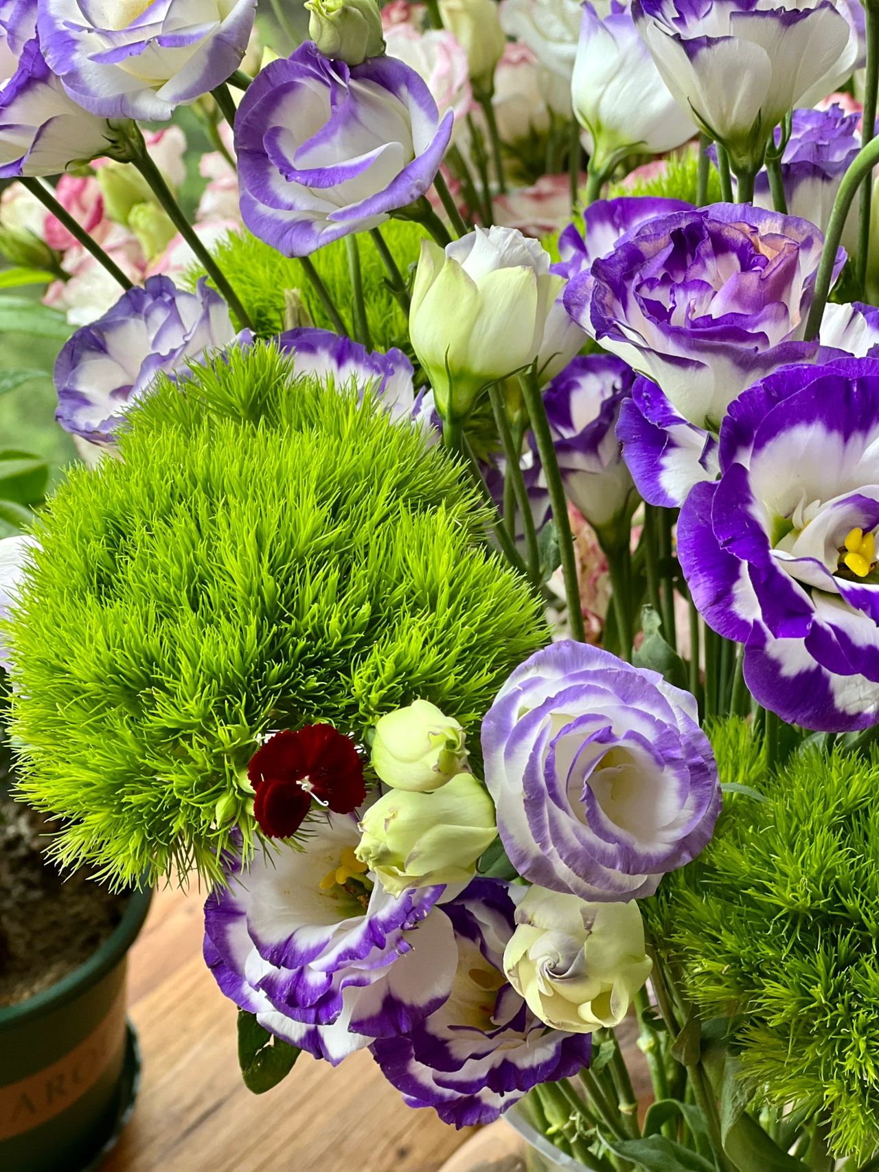 喝茶茶艺甜点水果鲜花插花下午茶(标记我的生活)-喵神素材库