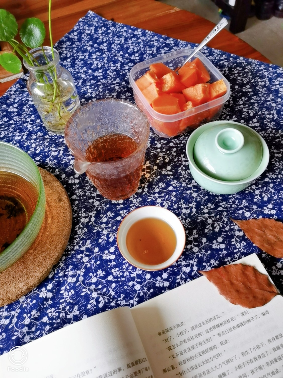喝茶茶具茶生活看书水果树叶书签(我真的喜欢捡漂亮的树叶做书签)-喵神素材库