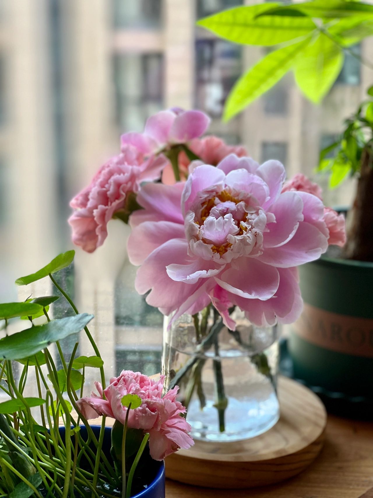 鲜花插花饼干烘焙水果手机下午茶(点缀生活的鲜花)-喵神素材库
