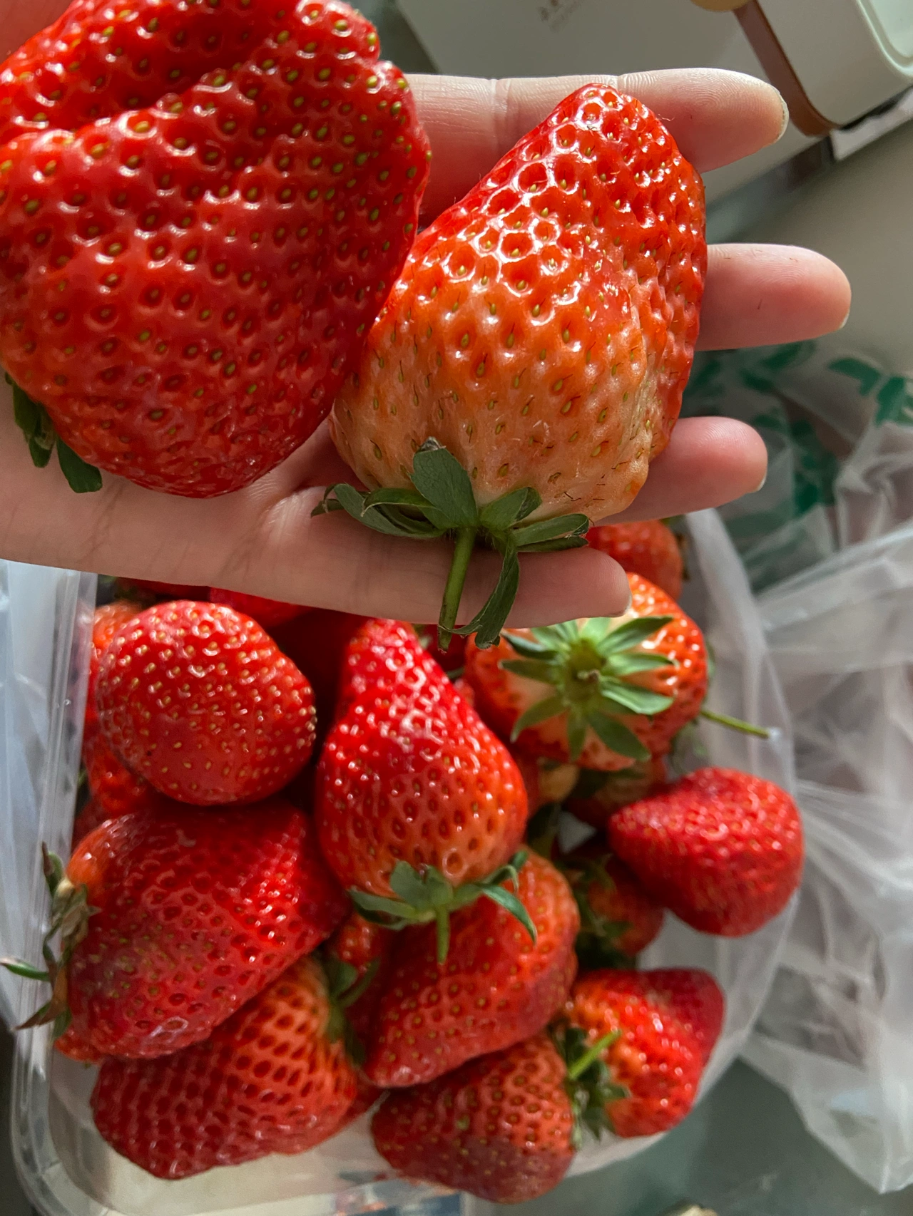 1水果草莓(回家以后真是实现草莓自由了，大草莓又大又甜又香，每次回家草莓都得吃个够！)-喵神素材库