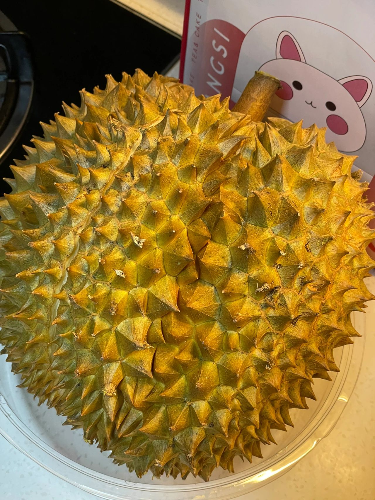 水果榴莲果盘购物(差点错过这颗来向我报恩的榴莲！)-喵神素材库