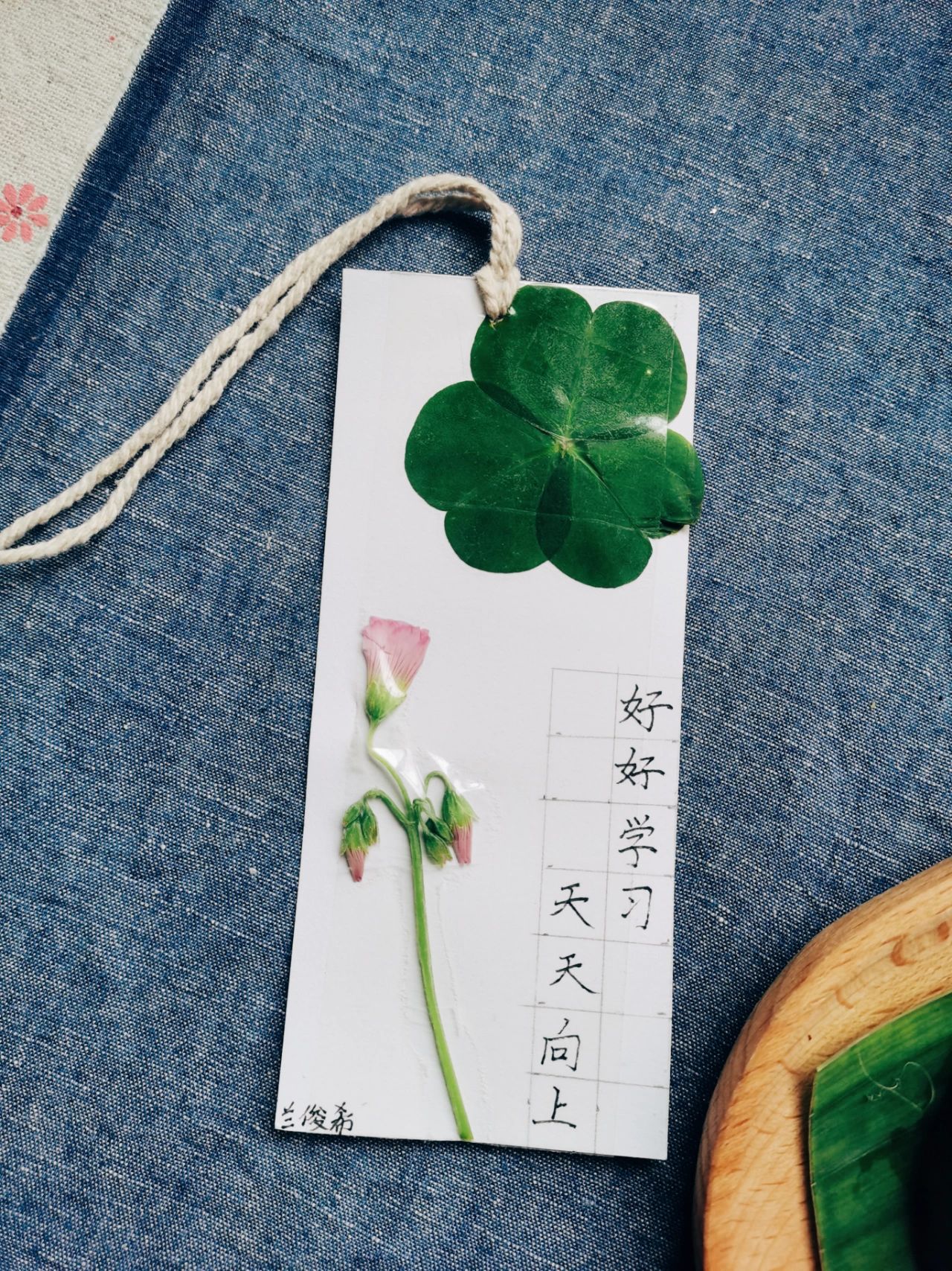 书签练字学习水果(自制手工书签 )-喵神素材库