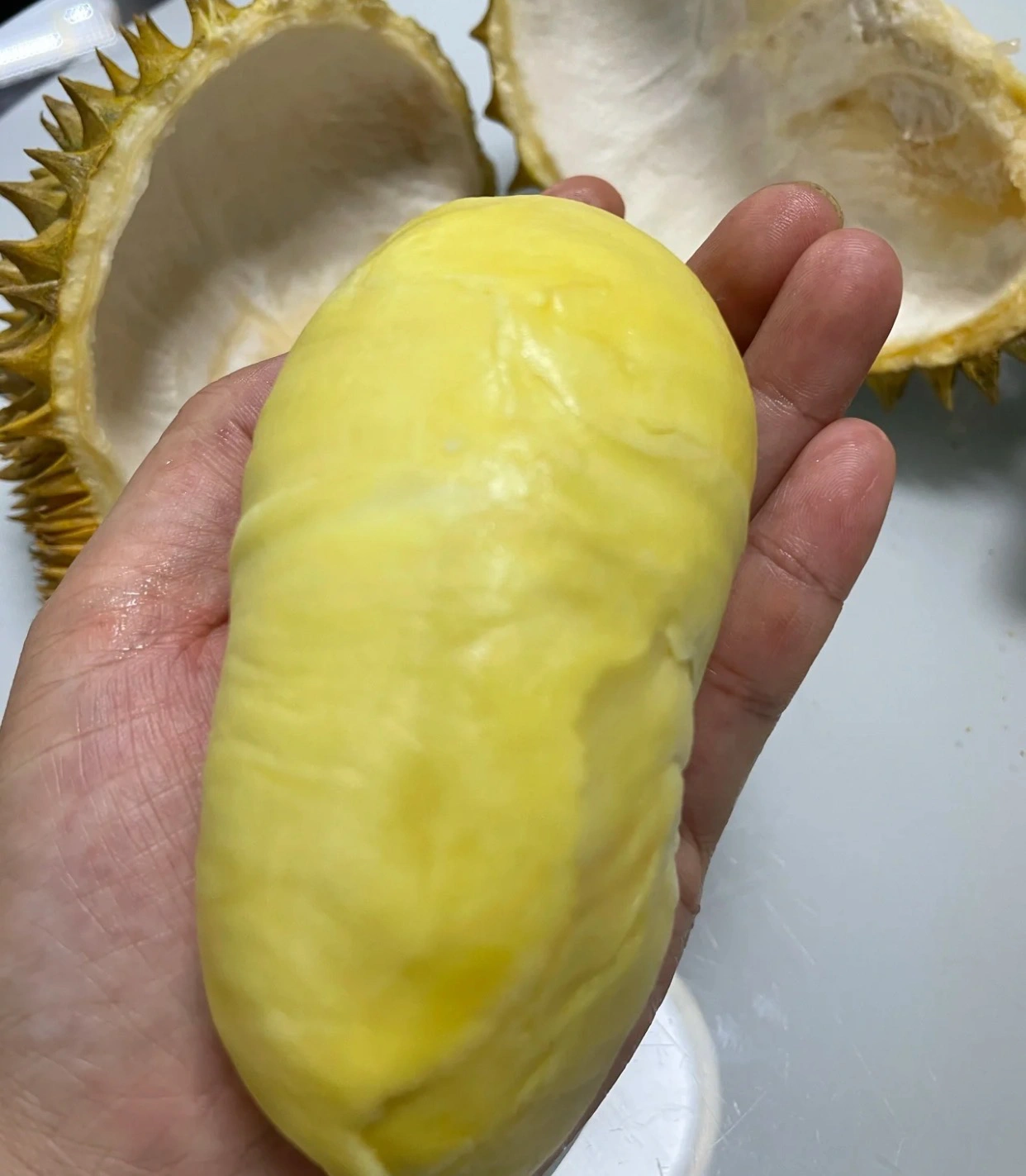 3水果榴莲购物(榴莲 )-喵神素材库