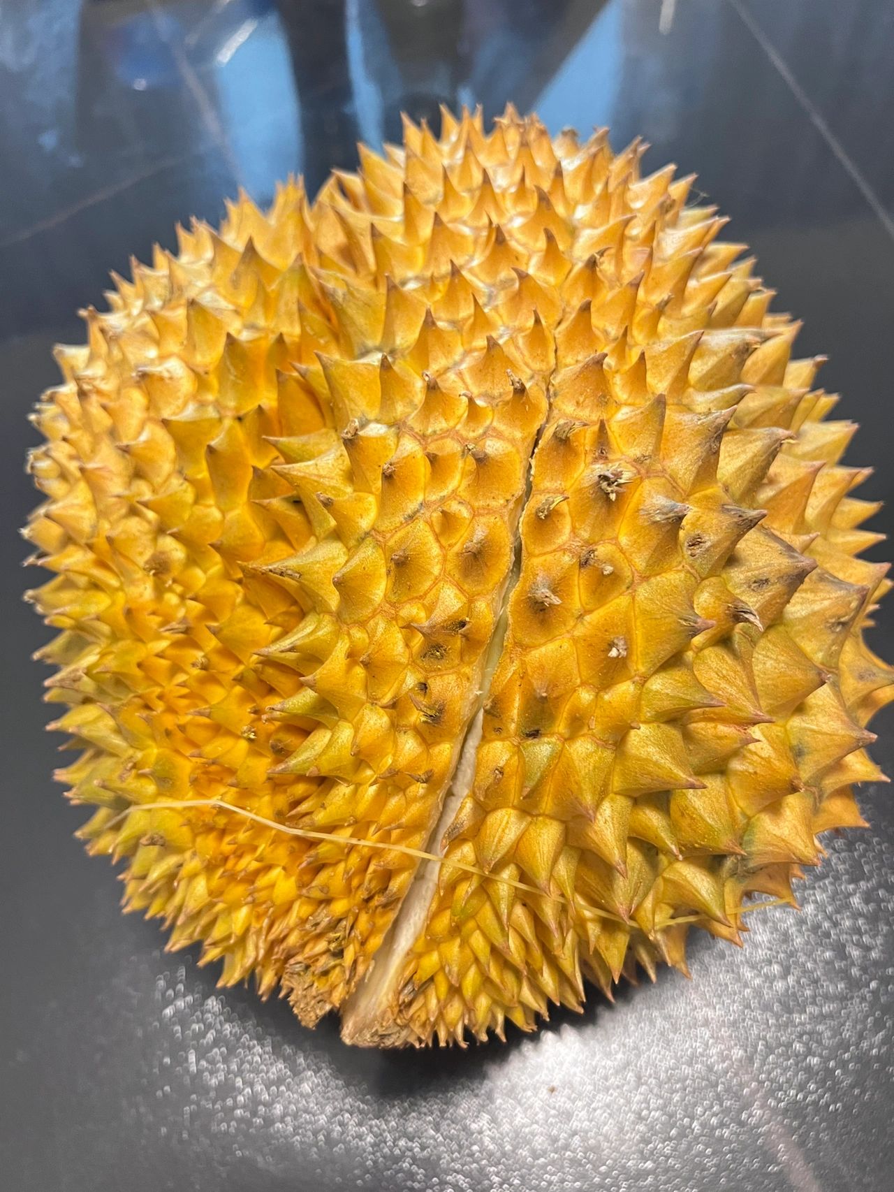 榴莲水果购物(水果榴莲)-喵神素材库