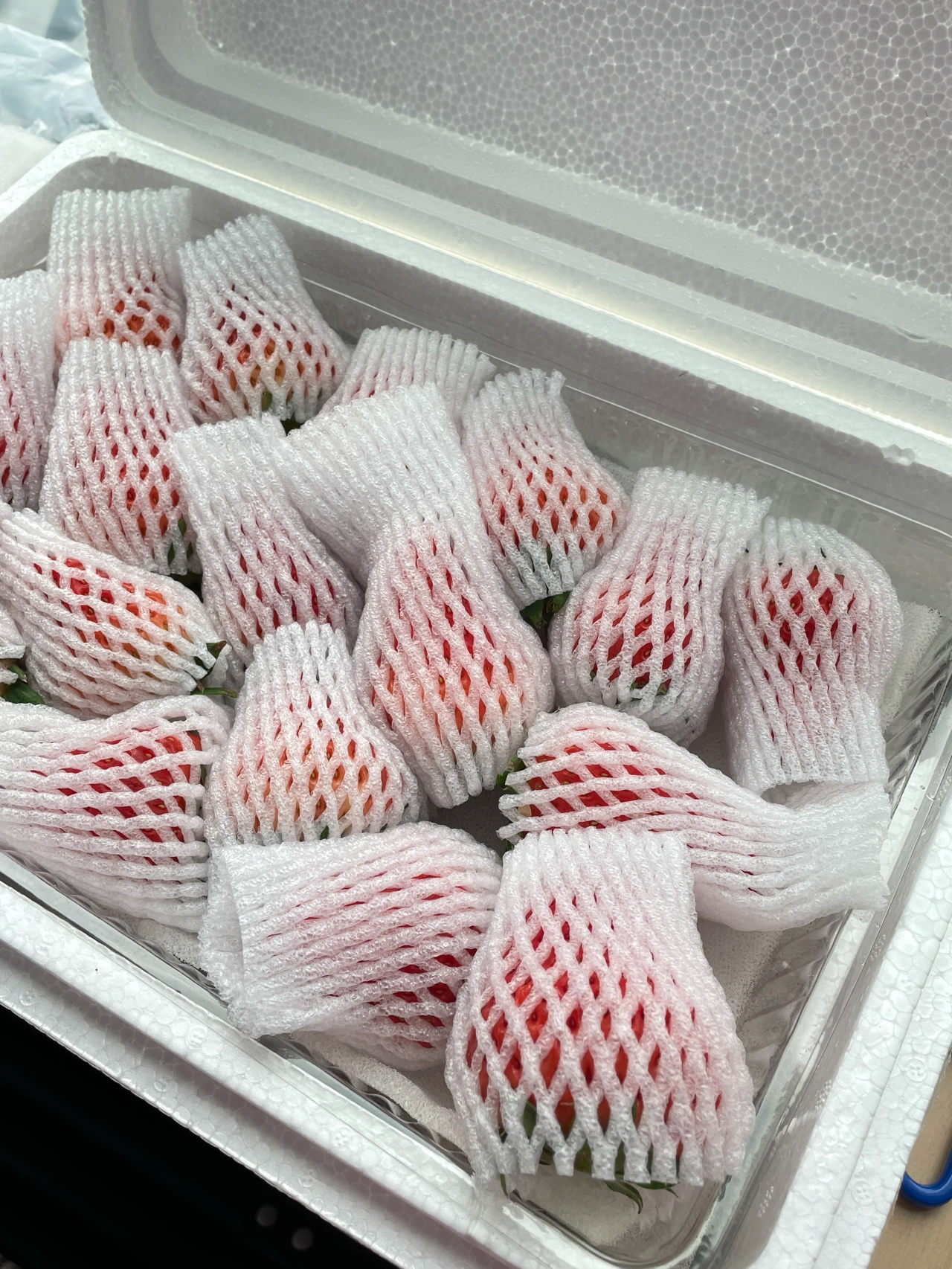 2水果草莓手丹东大草莓(咬好几口才能吃到草莓屁屁)-喵神素材库