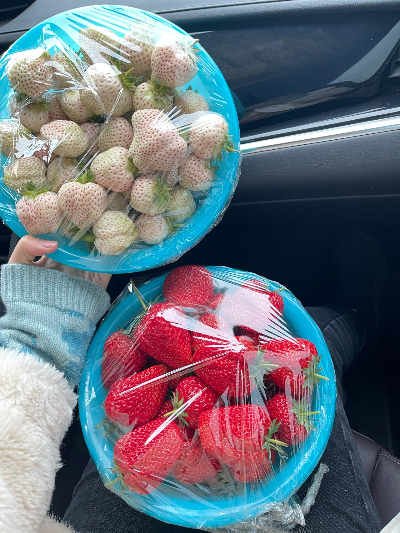 1水果草莓白菜美副驾(白草莓的味道就是蛇皮果的味道，只有甜+香草的味道，没有莓的味道。红草莓就是香香的各种莓子味道)-喵神素材库