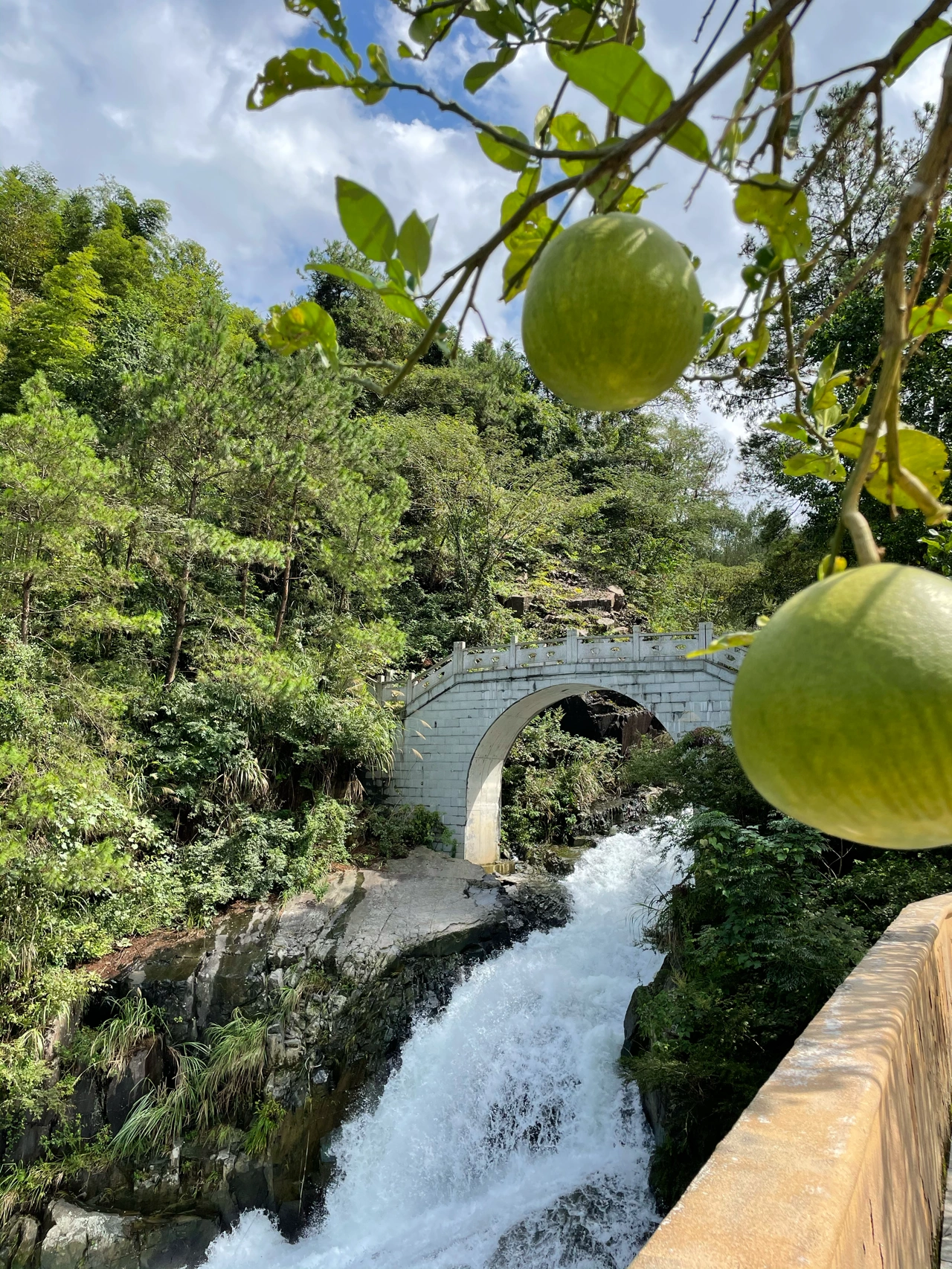 鸟语花香美景拍照蓝天白云水果采摘(没有车水马龙，怡然自得安静祥和，鸟语花香。 )-喵神素材库