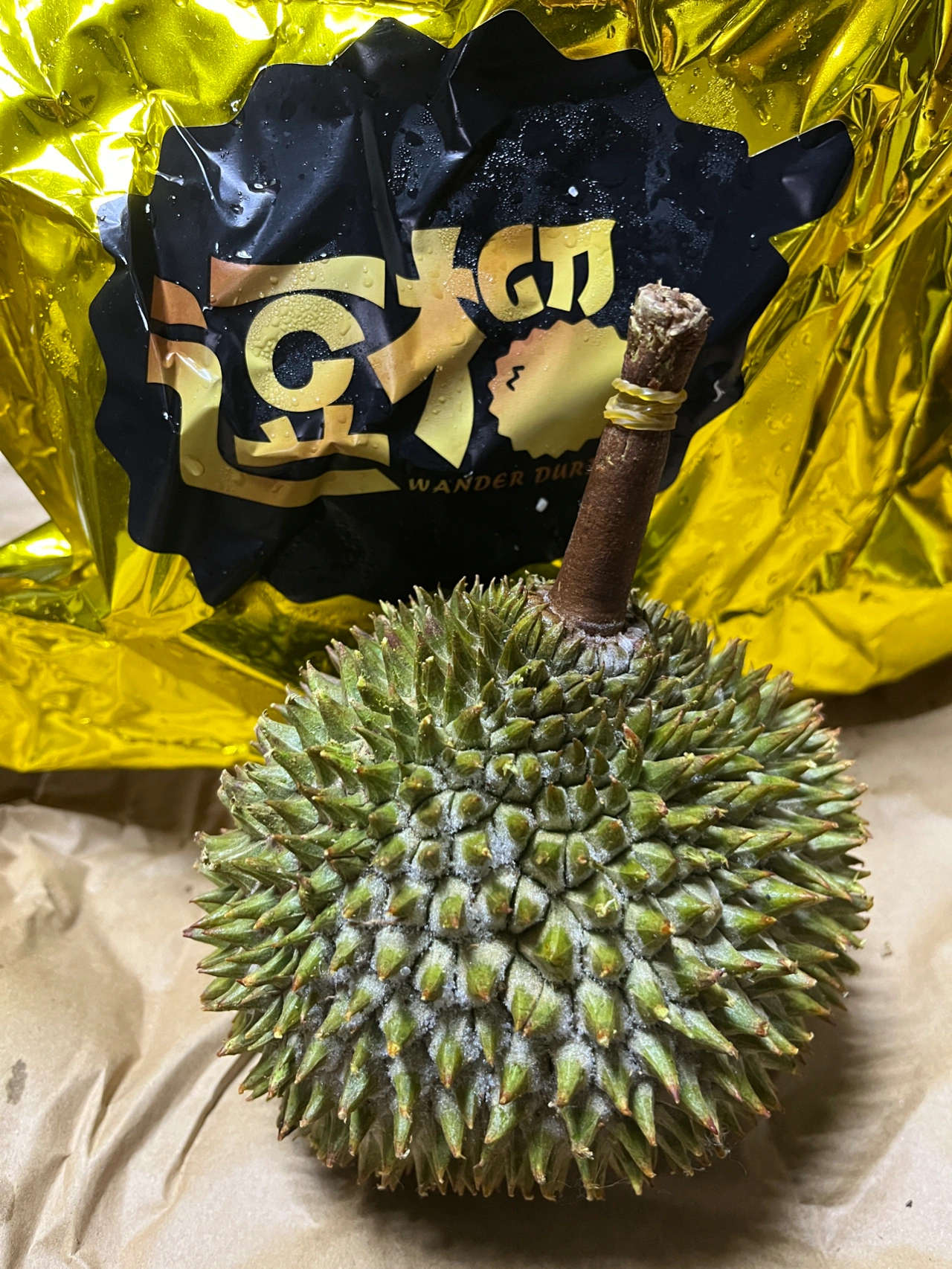 水果购物榴莲(千等万等  终于等到了我的黑刺榴莲)-喵神素材库