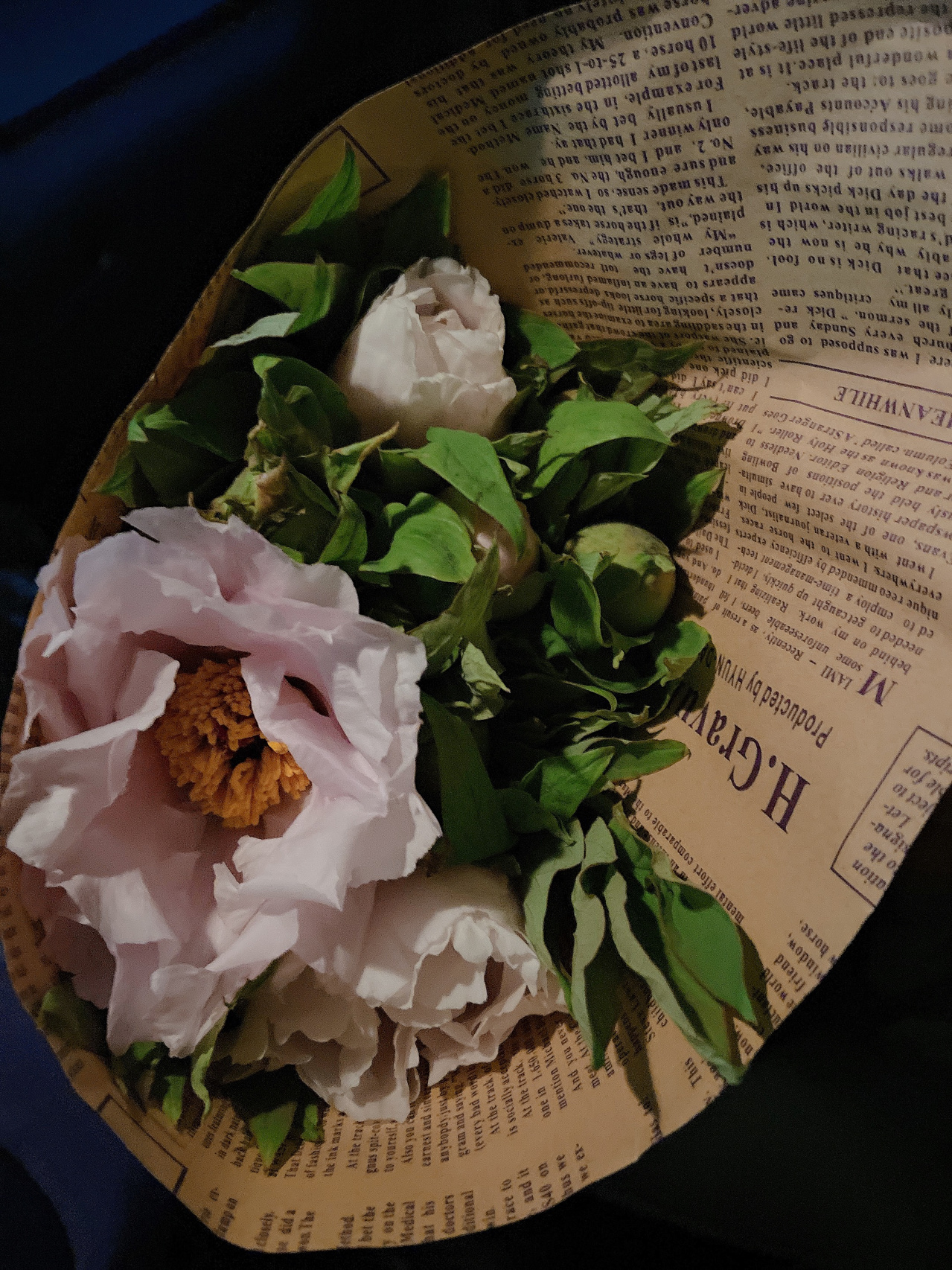 鲜花花束草莓水果鞋架(油牡丹真的好美好美)-喵神素材库