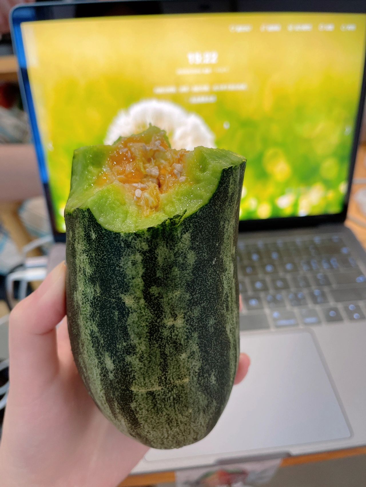 书桌笔记本水果购物(看这纹路的瓜应该是清爽型的，怎么会这么甜啊啊)-喵神素材库