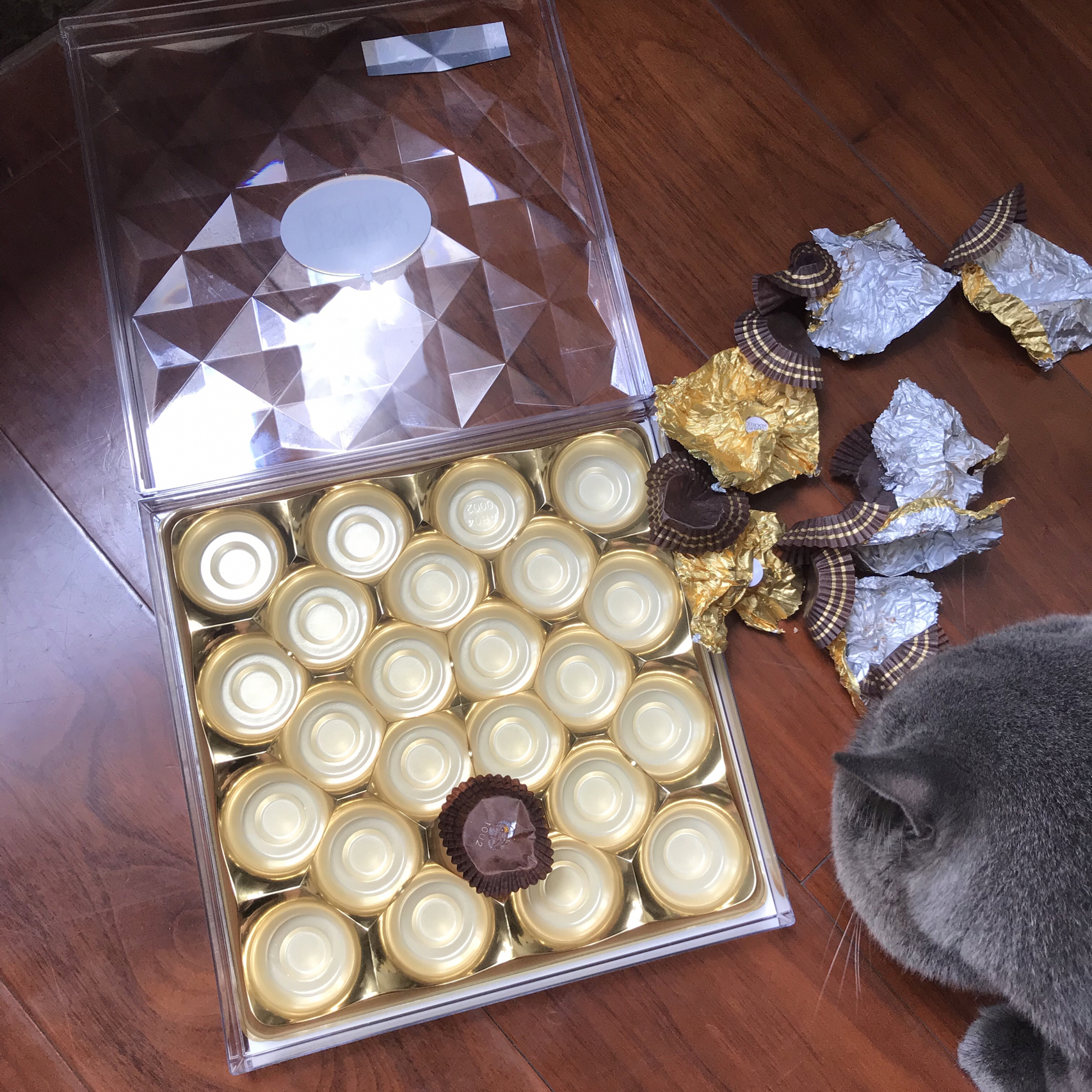美食外卖水果西餐巧克力(我就不爱出门想吃什么点个外卖多方便)-喵神素材库