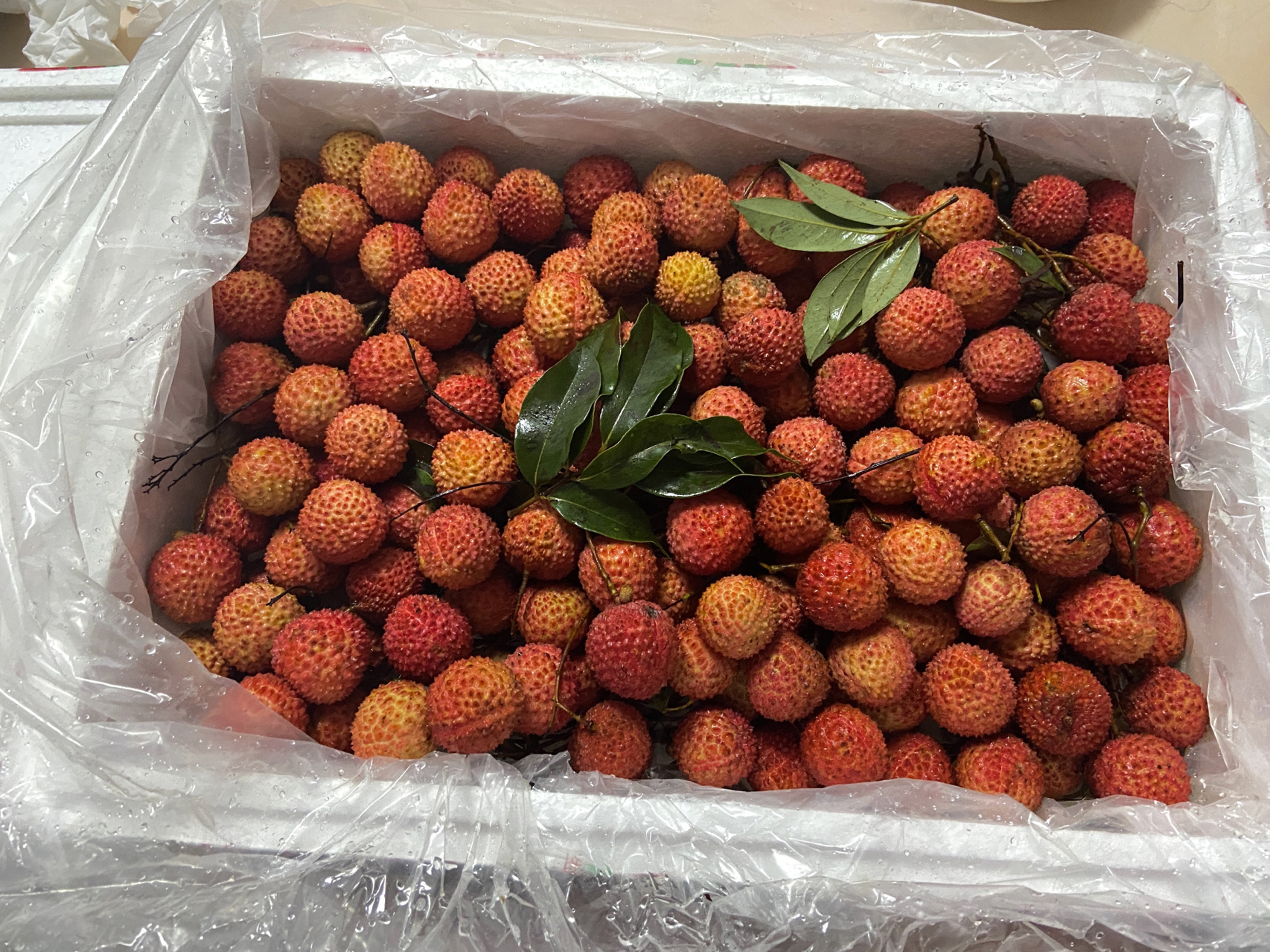 水果荔枝购物(荔枝来了 )-喵神素材库