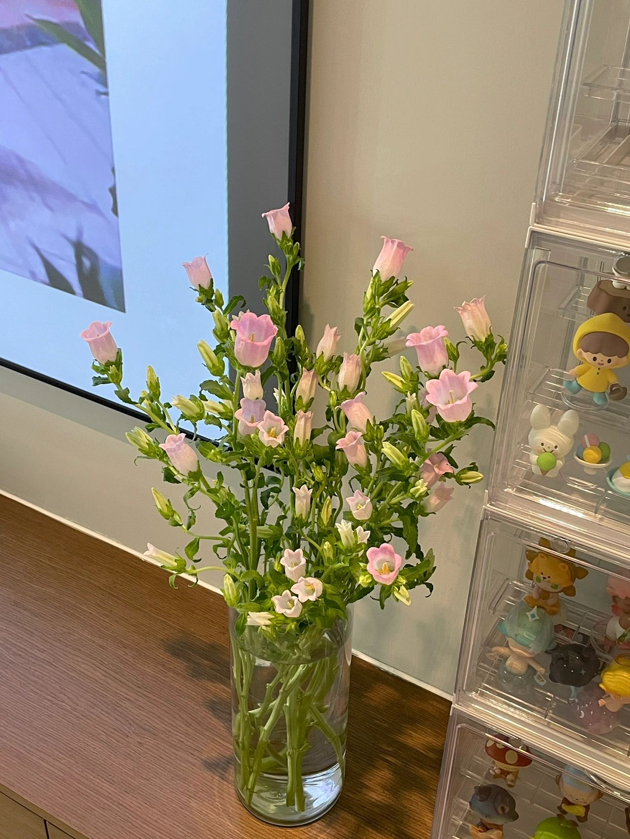 鲜花花卉插花(  当你能一个人默默消化掉负面情绪的时候 你就真的长大了)-喵神素材库