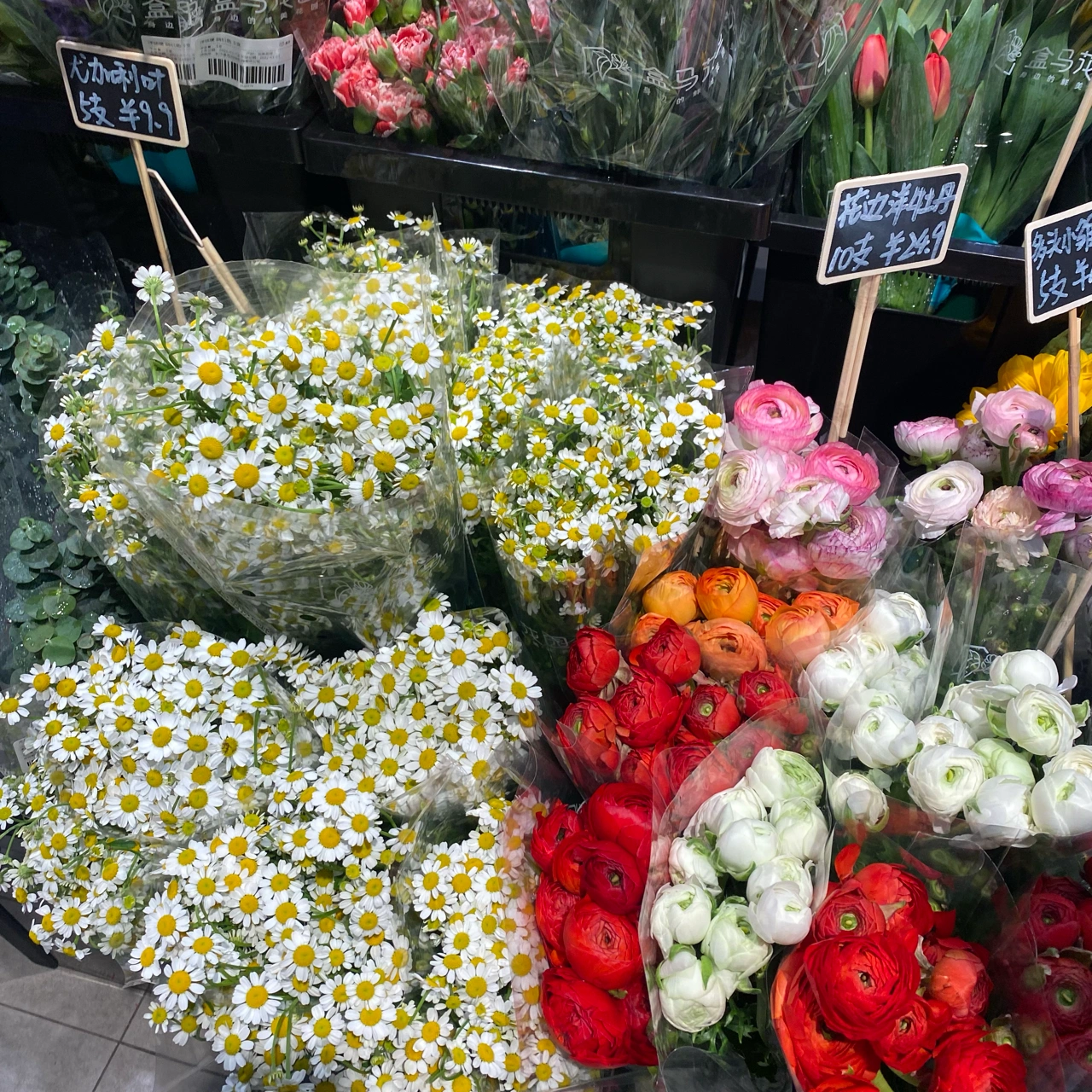 植物，花(花花)-喵神素材库