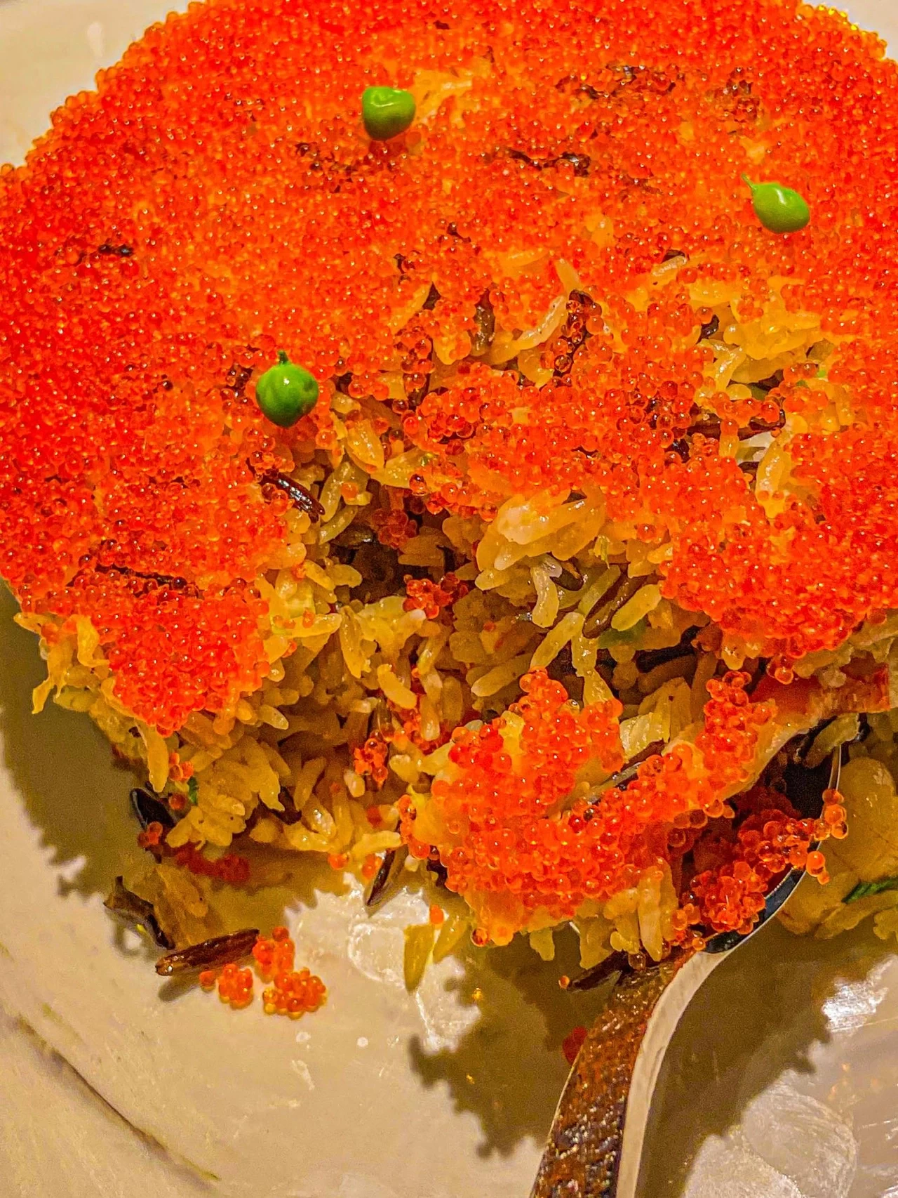 8美食上海餐厅料理(在上海绝对不能错过的正宗南洋菜，氛围感拉满！颜值味道都超在线，一定要来吃了！)-喵神素材库