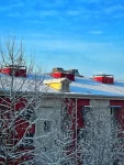 雪景摄影拍照(晴天 )-喵神素材库