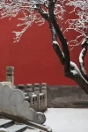 故宫雪景 ，故宫，故宫摄影，故宫拍照  ，旅行，风景(又要下雪了，又赶上周一。分享九张无人的故宫雪景，回忆一下曾经周一进故宫的幸福时光。)-喵神素材库