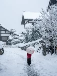 3下雪雪景冬天出游(看雪的小伙伴一定不能错过)-喵神素材库